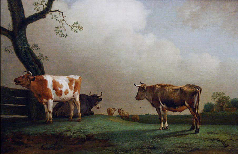 The Prairie 